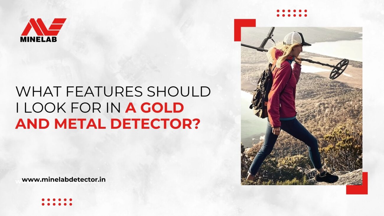 Gold and Metal Detector