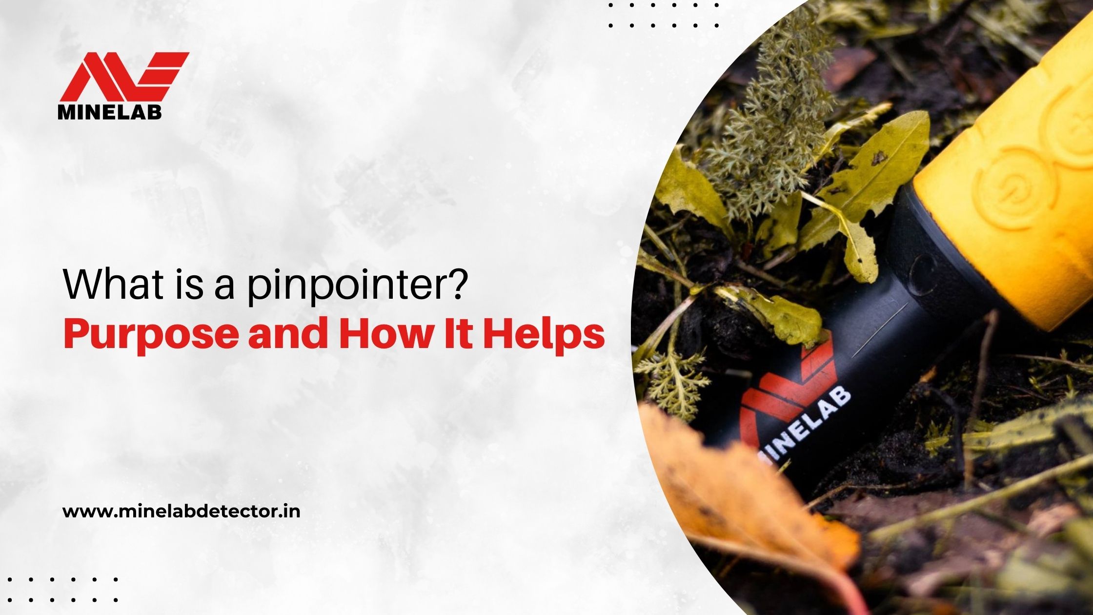 What is a Pinpointer?