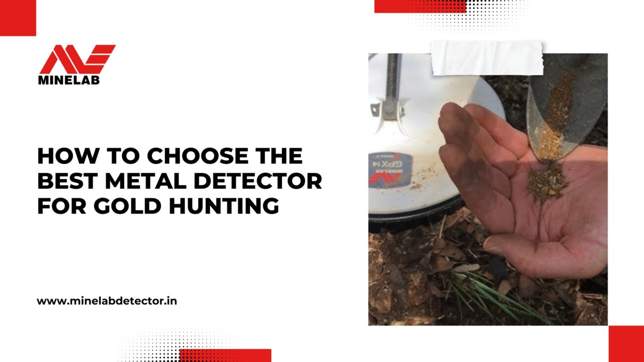 Best Metal Detector for Gold Hunting