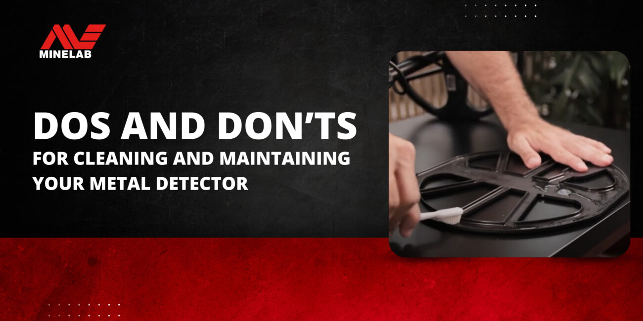 Metal Detector