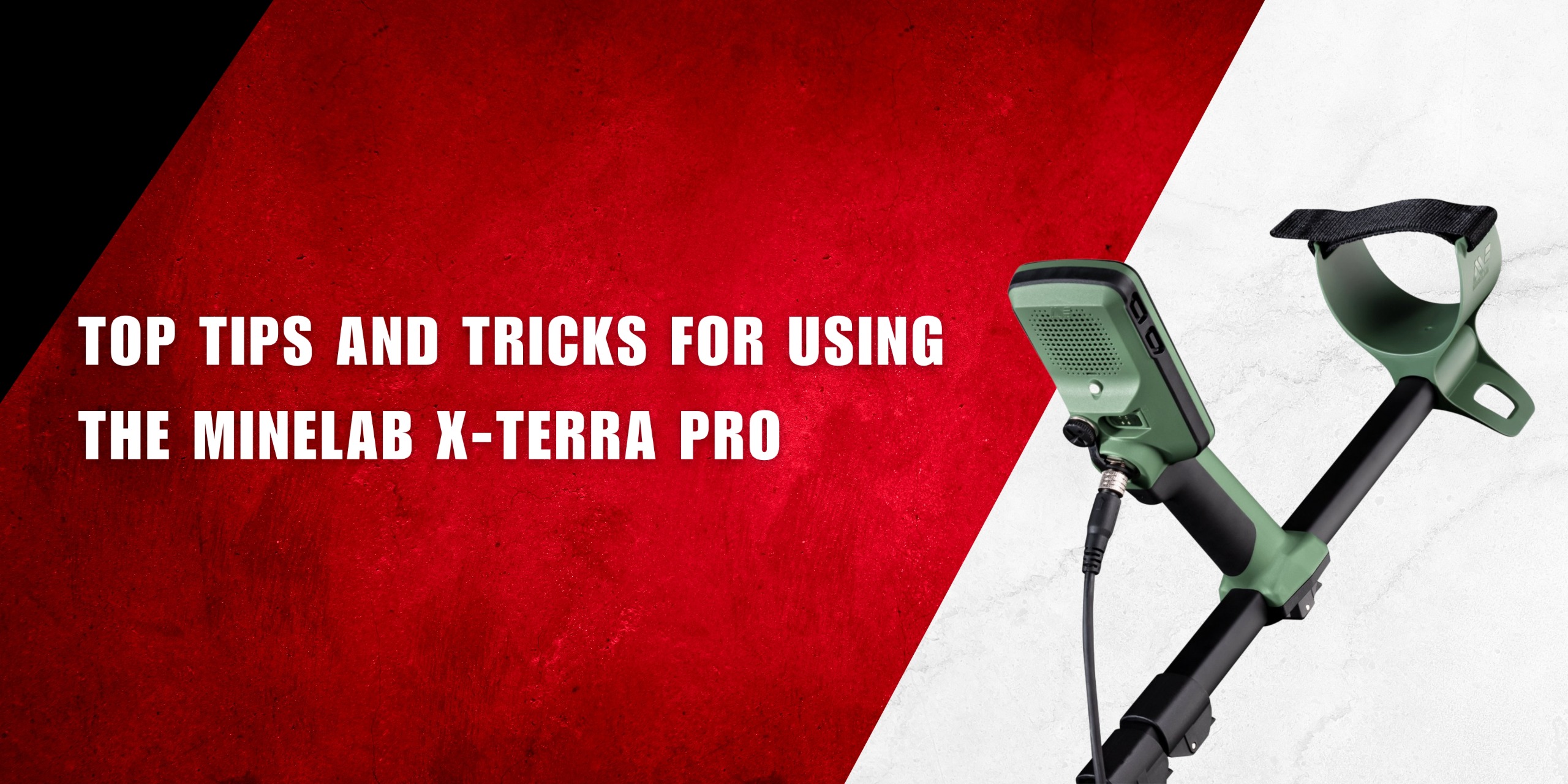 Minelab X-Terra Pro
