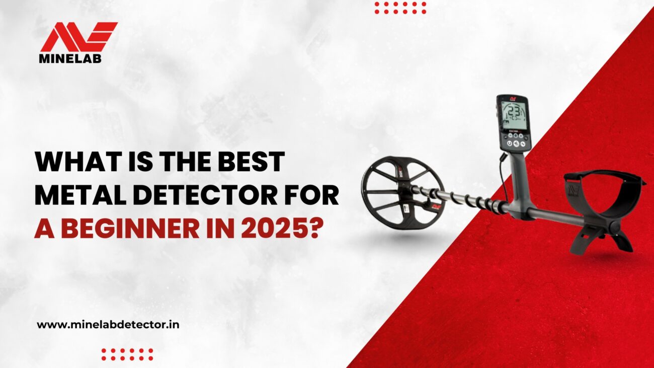 Best Metal Detector for Beginners in 2025