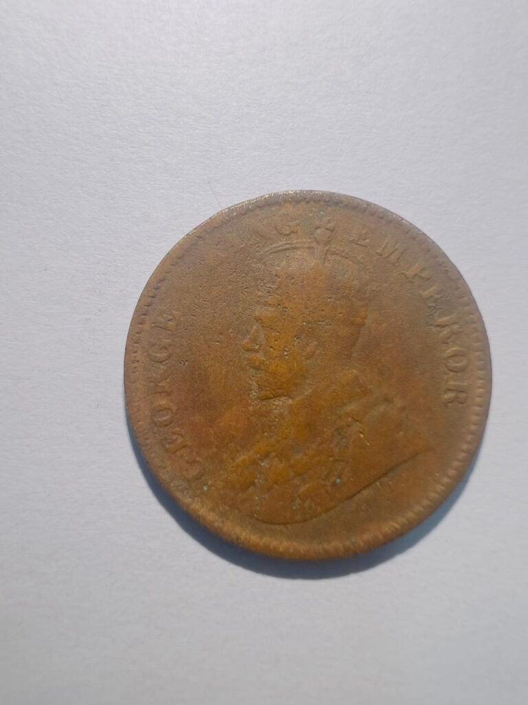 WhatsApp Image 2025-11-12 at 4.38.49 PM (6)