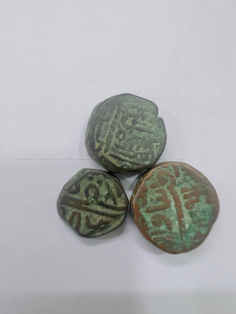 WhatsApp Image 2025-11-12 at 4.38.50 PM